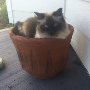 Meet your Posher, Karen